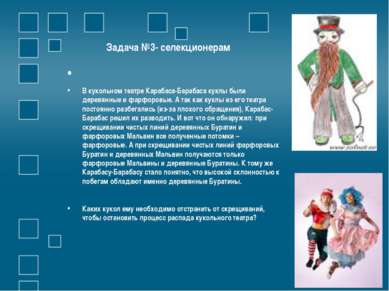 Задача №3- селекционерам   В кукольном театре Карабаса-Барабаса куклы были де...