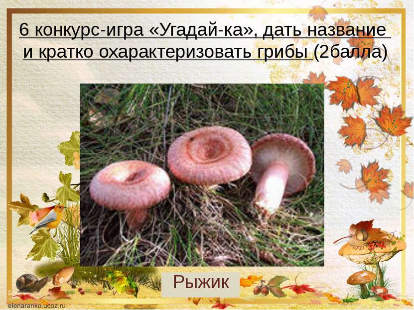6 конкурс-игра «Угадай-ка», дать название и кратко охарактеризовать грибы (2б...