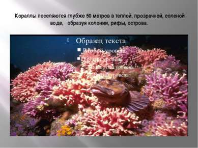 Кораллы поселяются глубже 50 метров в теплой, прозрачной, соленой воде, образ...