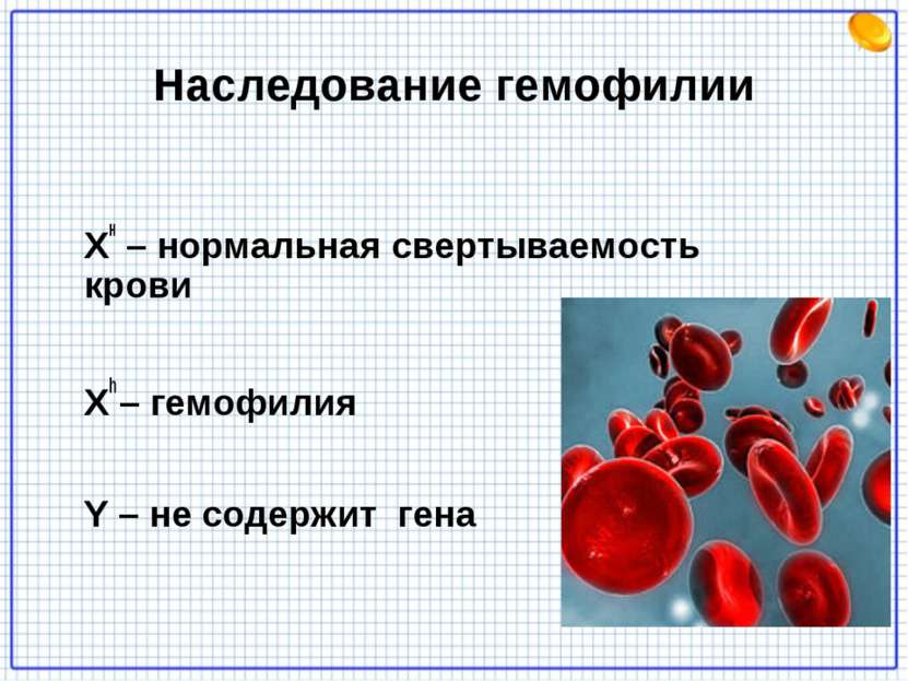 Наследование гемофилии Хн – нормальная свертываемость крови Хh – гемофилия Y ...