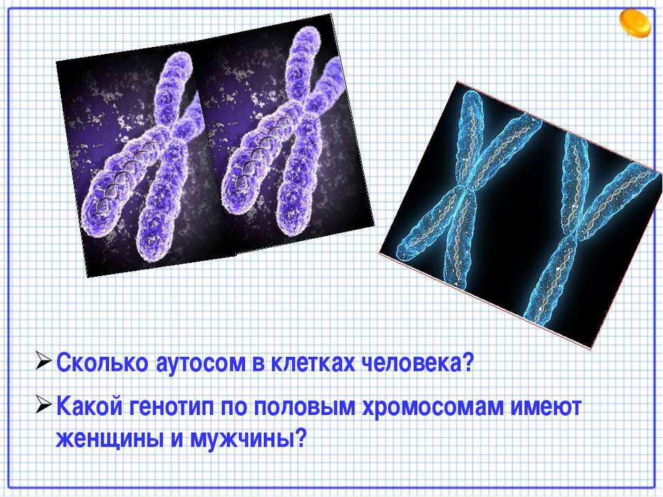 Х хромосома это мужская. Половые хромосомы. Хромосомы человека. Хромосомы в половых клетках. Половые клетки хромосомы.