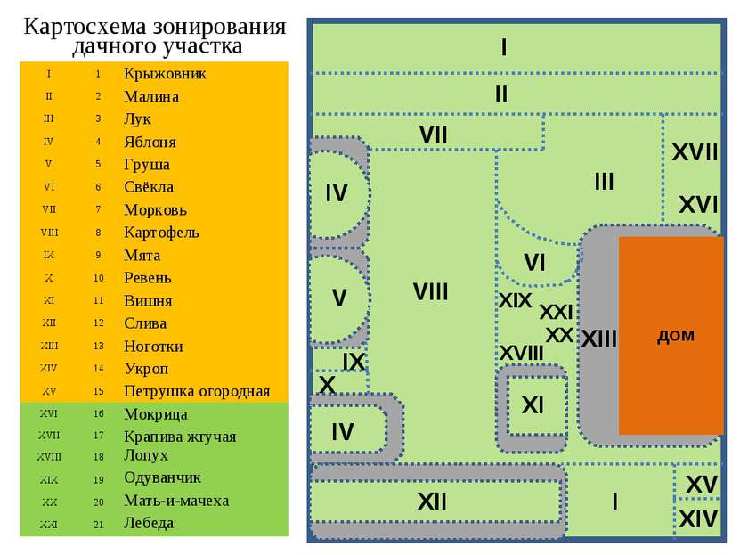 Картосхема зонирования дачного участка дом I 1 Крыжовник II 2 Малина III 3 Лу...