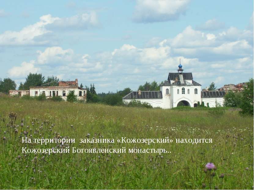 На территории заказника «Кожозерский» находится Кожозерский Богоявленский мон...