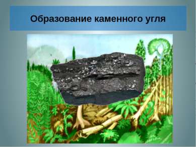 Образование каменного угля Отмершие древние папоротникообразные падали в воду...