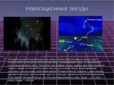 Навигационные звёзды Ориентирование по Полярной звезде Полярная звезда всегда...