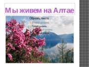 разработка внеклассного мероприятия" Мы живём в Алтайском крае"