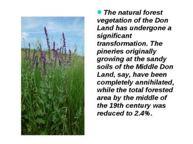 The natural forest vegetation of the Don Land has undergone a significant tra...