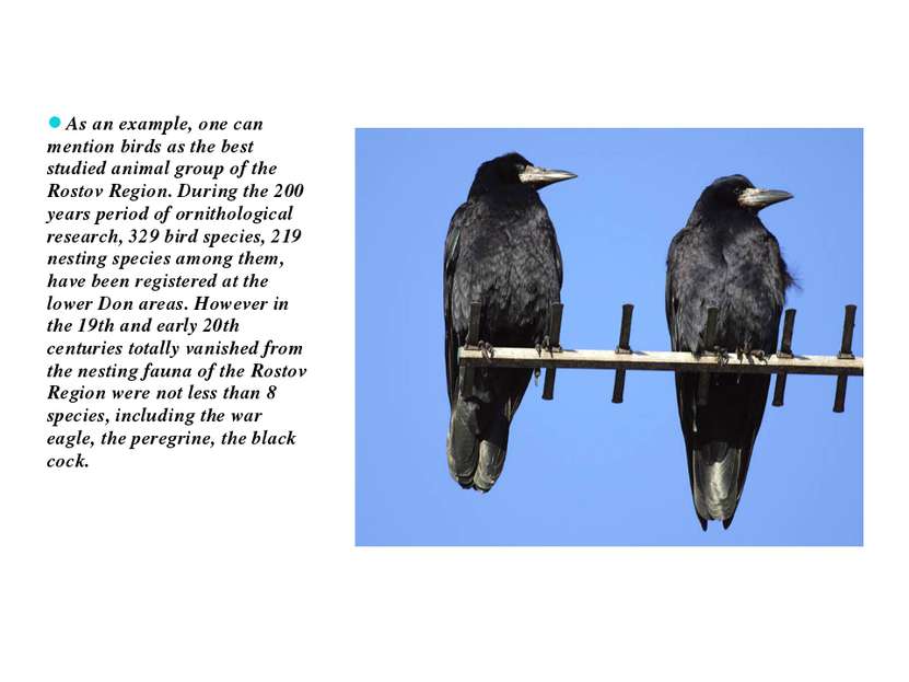 As an example, one can mention birds as the best studied animal group of the ...