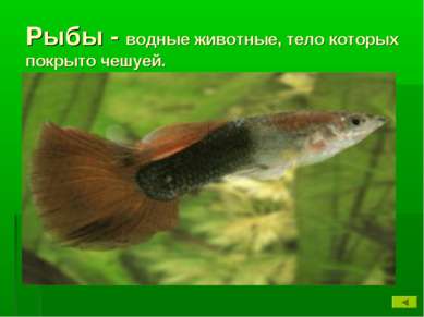Рыбы - водные животные, тело которых покрыто чешуей.