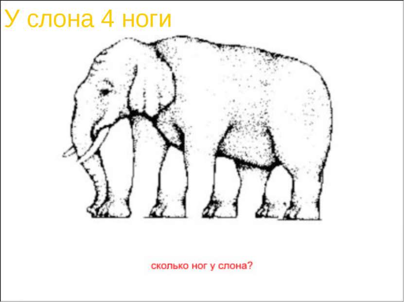 У слона 4 ноги