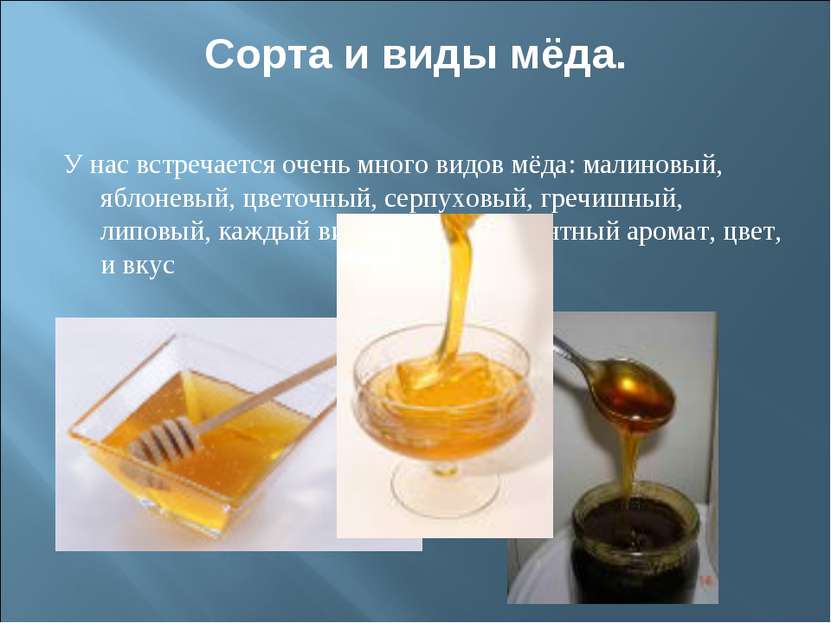 Сорта и виды мёда. У нас встречается очень много видов мёда: малиновый, яблон...