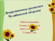 Лекарственные растения Челябинской области