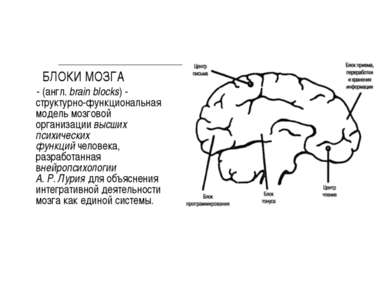 БЛОКИ МОЗГА - (англ. brain blocks) - структурно-функциональная модель мозгово...