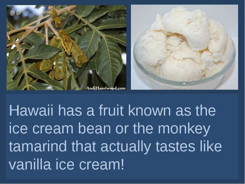 Hawaii has a fruit known as the ice cream bean or the monkey tamarind that ac...