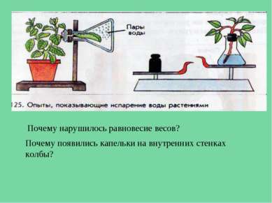 Почему нарушилось равновесие весов? Почему появились капельки на внутренних с...