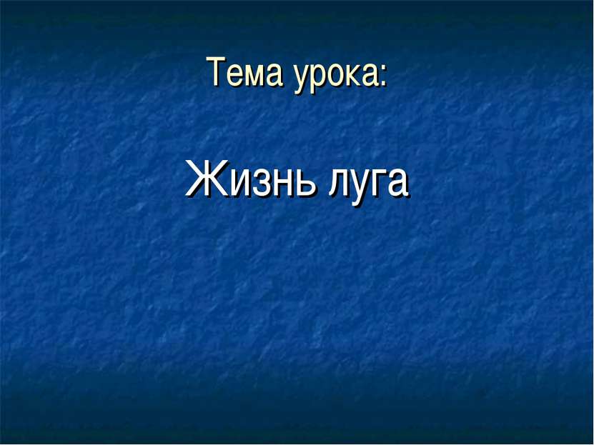 Окружающий мир. Презентация. " Жизнь луга