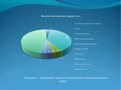 Рисунок 2 – Диаграмма занятости населения п.Новоуральский за 2008г.