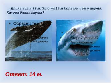 Длина кита 33 м. Это на 19 м больше, чем у акулы. Какова длина акулы? Ответ: ...