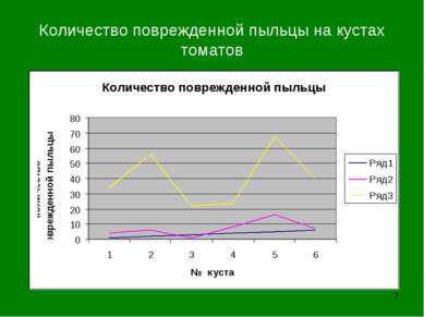 Количество поврежденной пыльцы на кустах томатов *