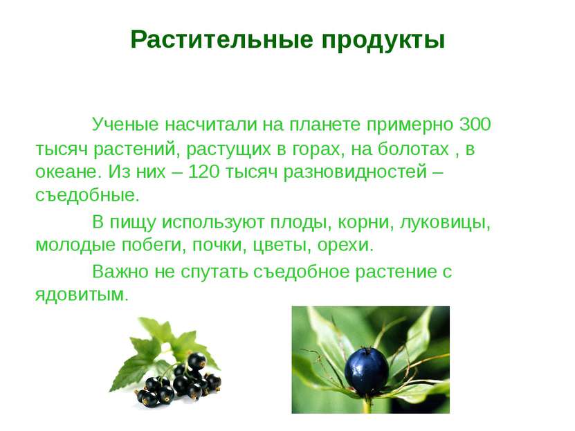 Растительные продукты Ученые насчитали на планете примерно 300 тысяч растений...