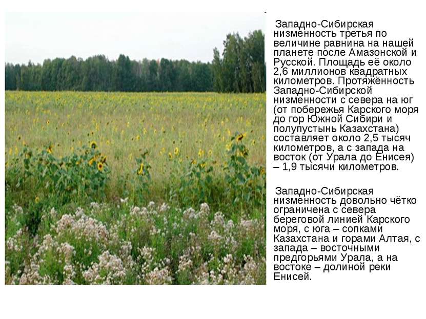 Западно-Сибирская низменность третья по величине равнина на нашей планете пос...