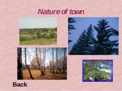 Nature of town Back