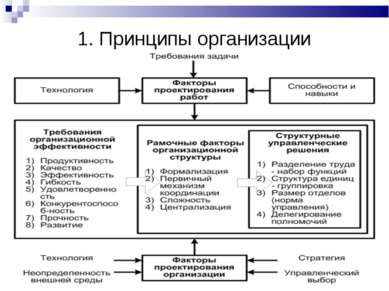 1. Принципы организации