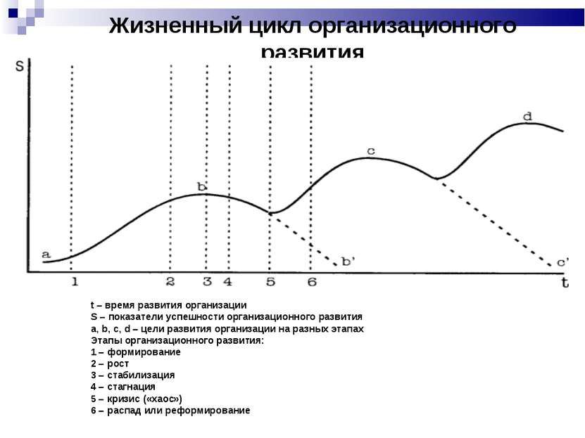 Жизненный цикл организационного развития t – время развития организации S – п...