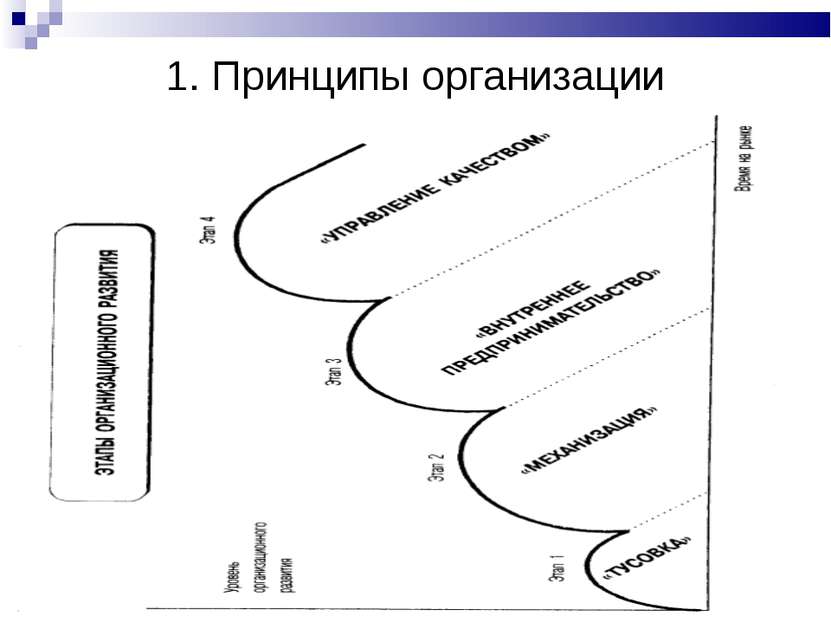 1. Принципы организации