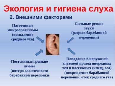 2. Внешними факторами Экология и гигиена слуха Патогенные микроорганизмы (вос...