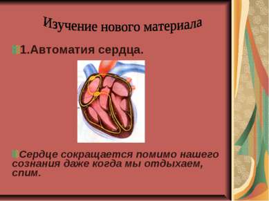 1.Автоматия сердца. Сердце сокращается помимо нашего сознания даже когда мы о...