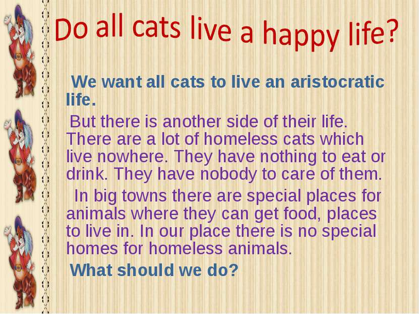 We want all cats to live an aristocratic life. But there is another side of t...
