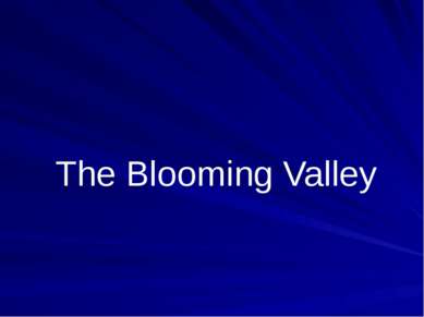The Blooming Valley