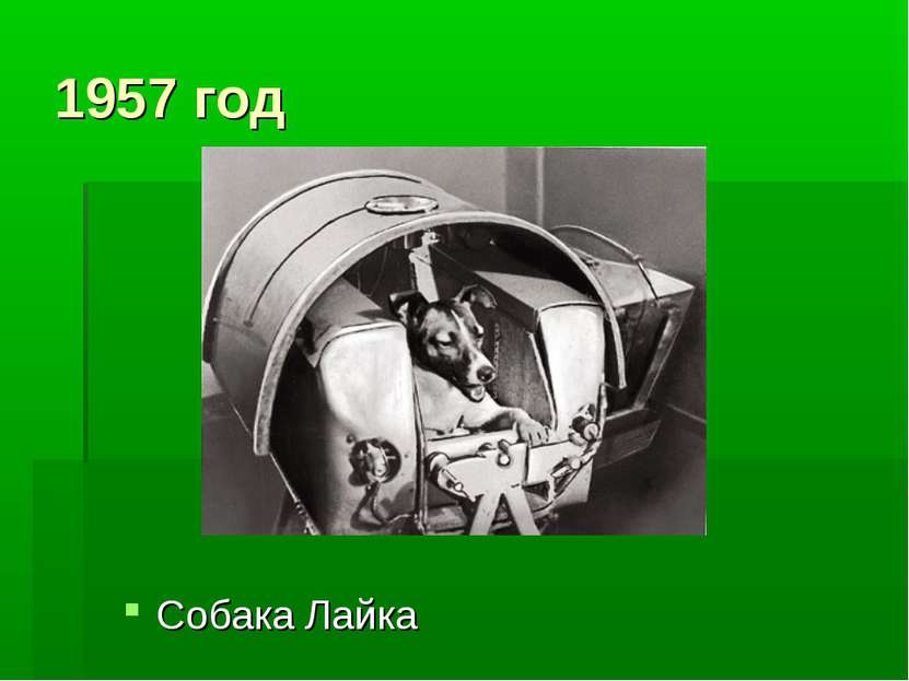 1957 год Собака Лайка