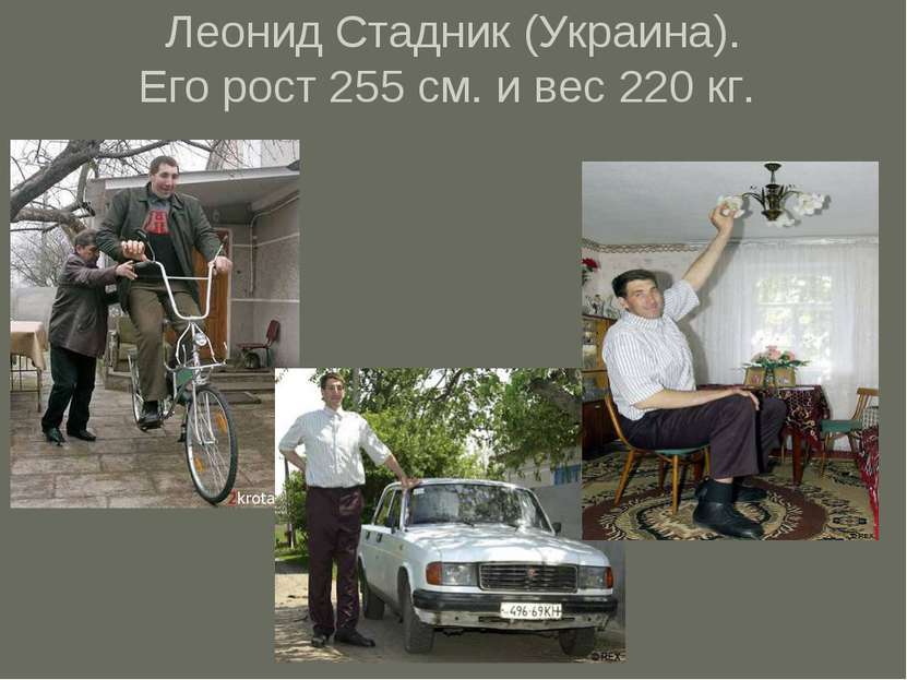 Леонид Стадник (Украина). Его рост 255 см. и вес 220 кг.