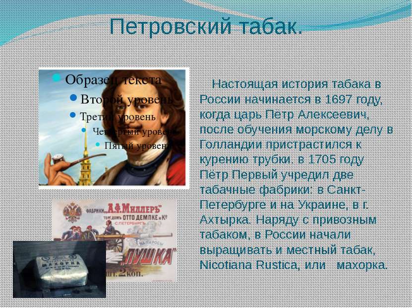Петровский табак. Настоящая история табака в России начинается в 1697 году, к...