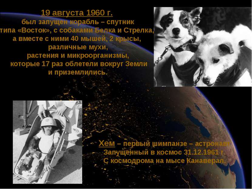 19 августа 1960 г. был запущен корабль – спутник типа «Восток», с собаками Бе...