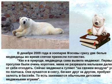 В декабре 2009 года в зоопарке Москвы сразу две белые медведицы во время спяч...