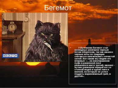 Бегемот У Булгакова Бегемот стал громадных размеров черным котом-оборотнем, т...