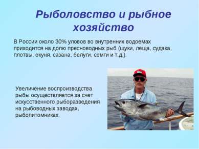 Рыболовство и рыбное хозяйство В России около 30% уловов во внутренних водоем...