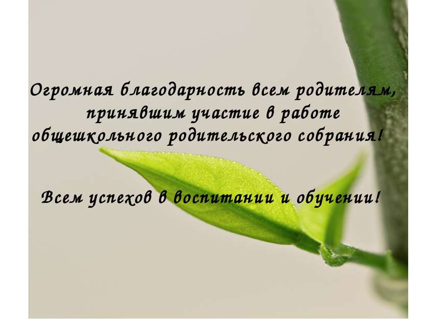 Огромная благодарность всем родителям, принявшим участие в работе общешкольно...