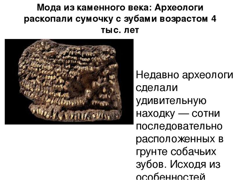 Мода из каменного века: Археологи раскопали сумочку с зубами возрастом 4 тыс....