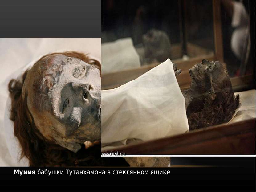 Мумия бабушки Тутанхамона в стеклянном ящике