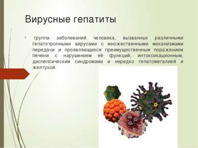 Вирусные гепатиты  группа заболеваний человека, вызванных различными гепатотр...