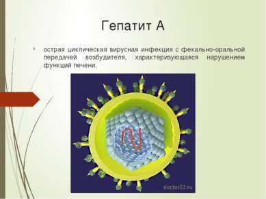 Гепатит А острая циклическая вирусная инфекция с фекально-оральной передачей ...
