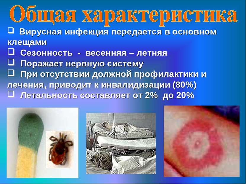 Вирусная инфекция передается в основном клещами Сезонность - весенняя – летня...