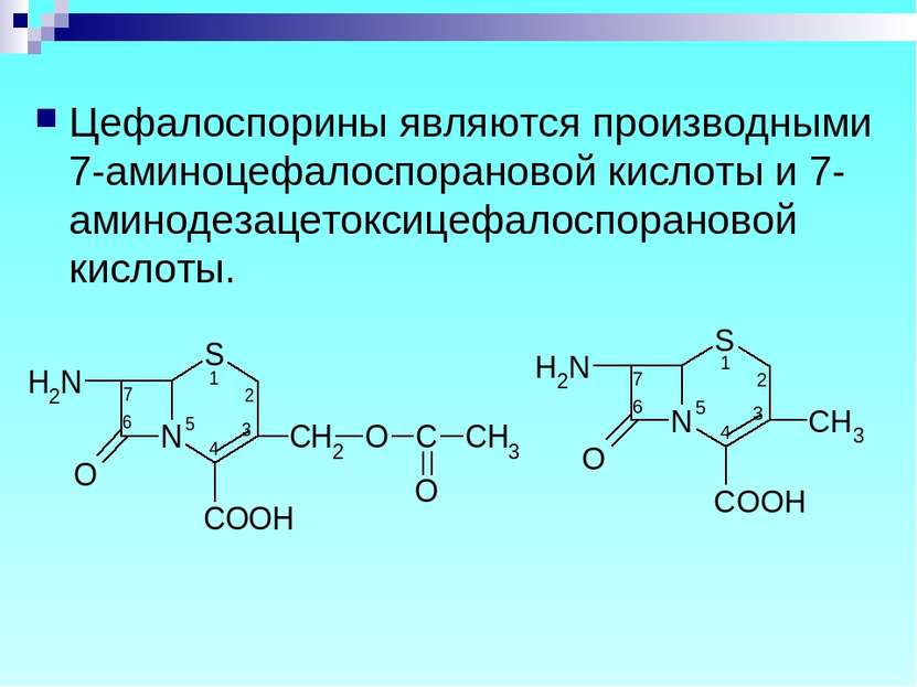 Цефалоспорины являются производными 7-аминоцефалоспорановой кислоты и 7-амино...