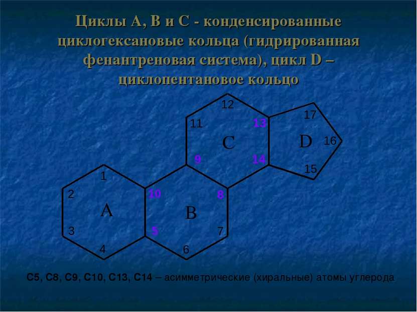 Циклы A, B и C - конденсированные циклогексановые кольца (гидрированная фенан...