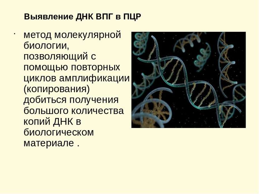 Выявление ДНК ВПГ в ПЦР метод молекулярной биологии, позволяющий с помощью по...