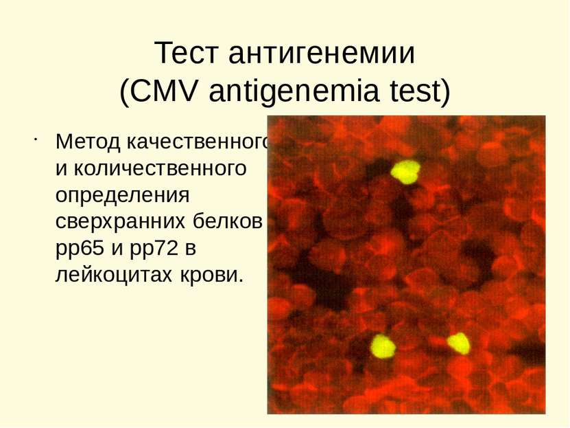 Тест антигенемии (CMV antigenemia test) Метод качественного и количественного...